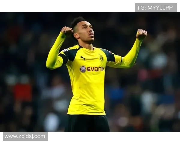 足球明星的粉丝明星背后的故事与他们的精彩人生揭秘